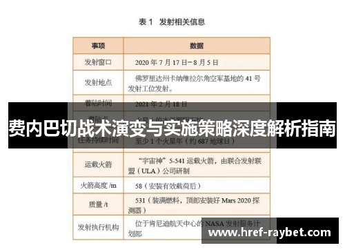 费内巴切战术演变与实施策略深度解析指南
