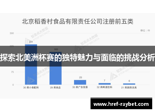 探索北美洲杯赛的独特魅力与面临的挑战分析