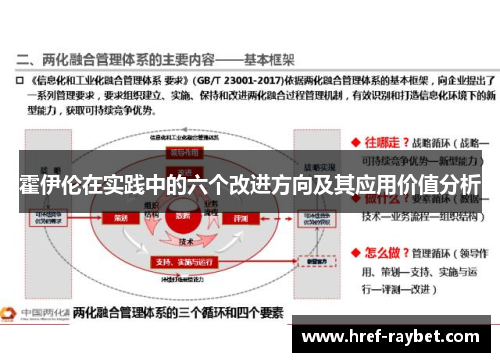 霍伊伦在实践中的六个改进方向及其应用价值分析