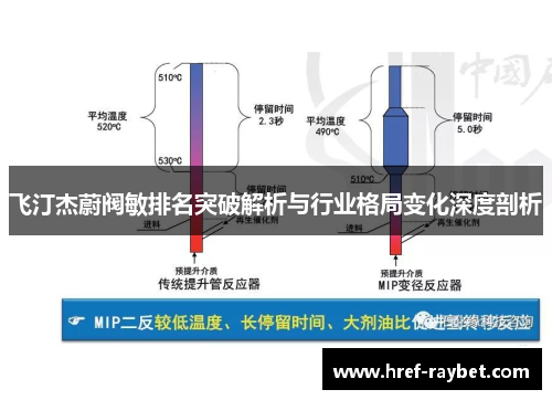 飞汀杰蔚阀敏排名突破解析与行业格局变化深度剖析