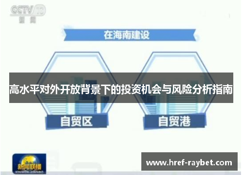 高水平对外开放背景下的投资机会与风险分析指南 高水平对外开放背景下的投资机会与风险分析指南