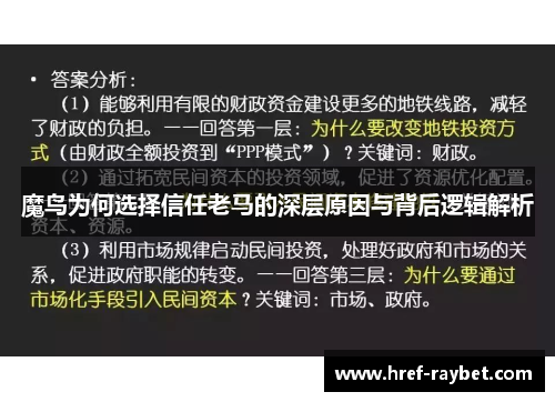 魔鸟为何选择信任老马的深层原因与背后逻辑解析 魔鸟为何选择信任老马的深层原因与背后逻辑解析
